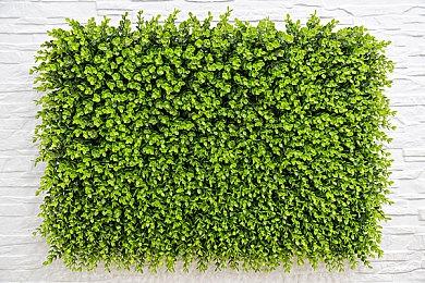 《博德之门3》配音演员：游戏开发商正在删掉DEI故事线